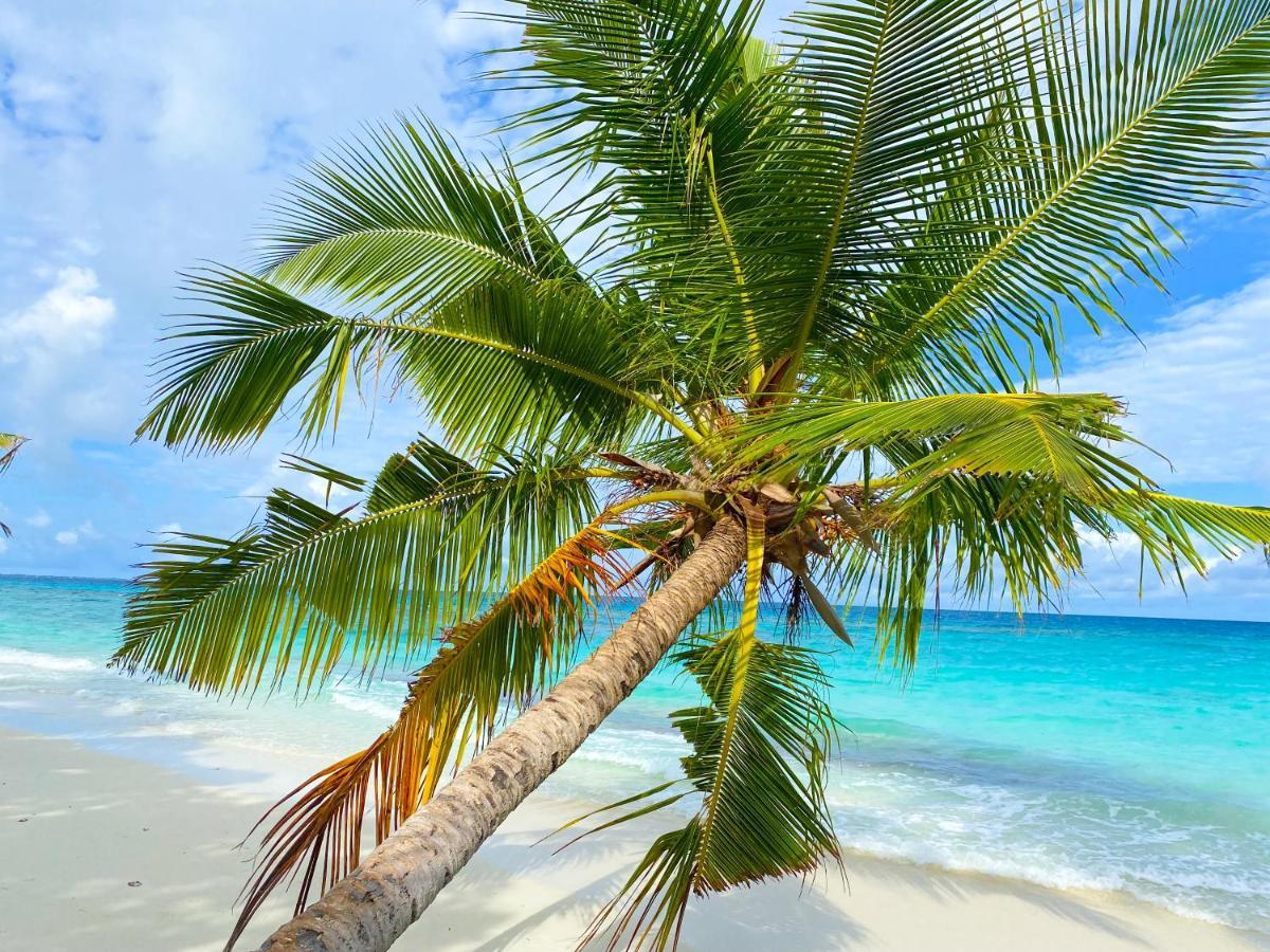 Tme Retreats Dhigurah Hotel Dhigurah  Exterior foto