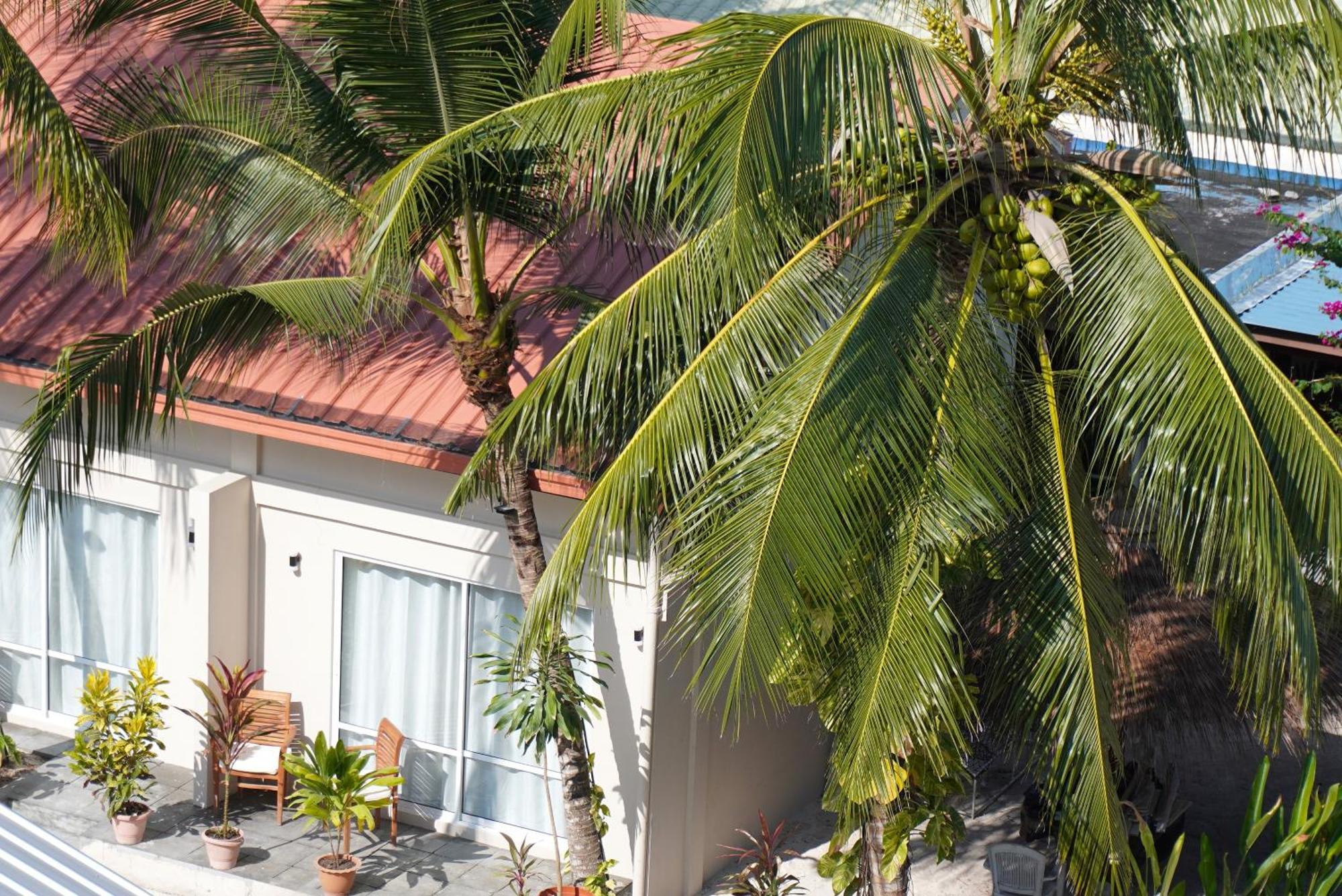 Tme Retreats Dhigurah Hotel Dhigurah  Exterior foto